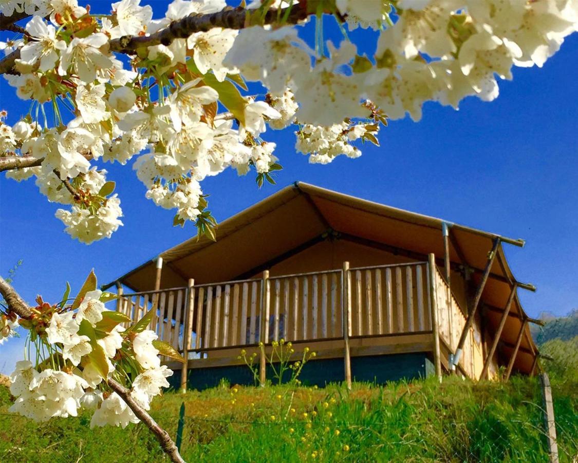 Villaladiva Boutique Glamping Massignano Zewnętrze zdjęcie